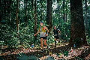 BIB: 
                            <button type="button" onclick="openModal(26130319)" class="btn btn-primary btn-sm float-right btn-popup" data-toggle="modal" data-target=".modal-high-quality">
                        <i class="fas fa-shopping-cart"></i> Add to Cart
                    </button>
                                            <button type="button" onclick="isThisMe(26130319, true)" class="btn btn-success btn-sm float-right btn-popup btn-isme hidden" data-toggle="tooltip" data-placement="bottom" title="นี่คือรูปของคุณใช่ไหม คลิกที่นี่เพื่อเอาเข้าอัลบั้ม">
                        <i class="fas fa-plus"></i> Add to album
                    </button>
                    <button type="button" onclick="isThisMe(26130319, false)" class="btn btn-warning btn-sm float-right btn-popup btn-isnotme hidden">
                        <i class="fas fa-ban"></i> Remove from album
                    </button>